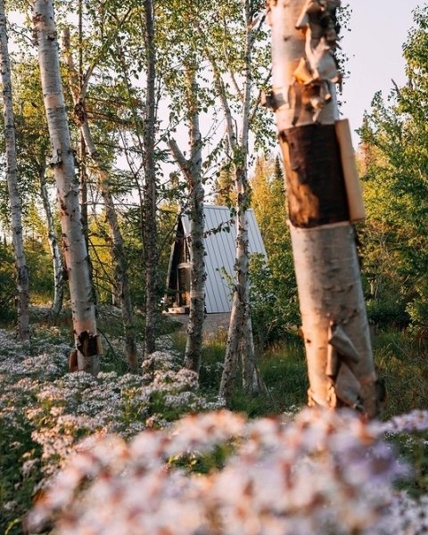 6 красивых домиков, где вы захотите провести осенние выходные | ivd.ru